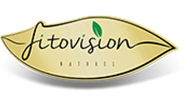 Fito Vision Logo
