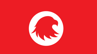 USAFIS Logo