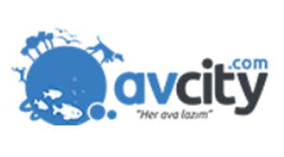 Avcity.com