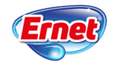 Ernet logo