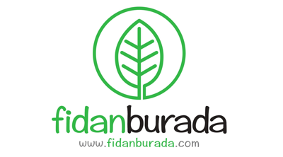 FidanBurada