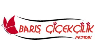 Barış Çiçekçilik Logo