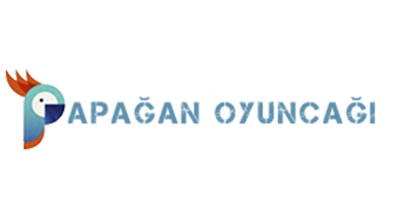 Papaganoyuncagi.com
