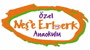 Neşe Erberk Okulları Logo