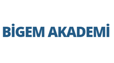 Bigem Akademi