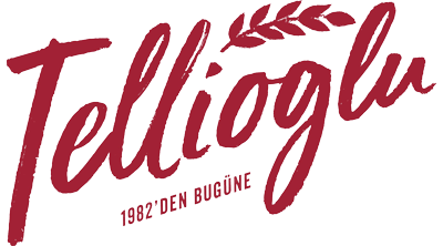 Tellioğlu Şirketler Grubu Logo