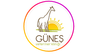 Güneş Veteriner Kliniği (Değirmendere)