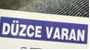 Düzce Varan