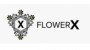 FlowerX Logo