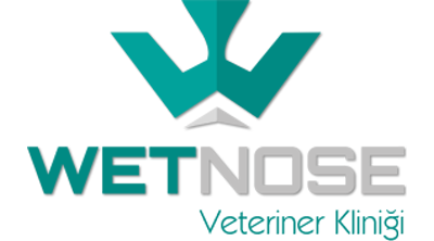 Wetnose Veteriner Kliniği Logo
