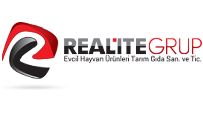Realite Grup Logo