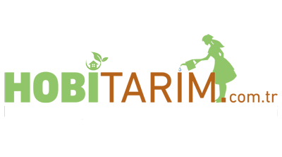 Hobi Tarım