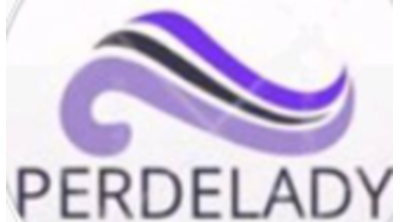 Perdelady(İnstagram) Logo