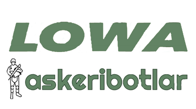 Lowabot Logo