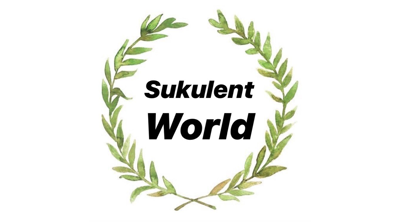 @sukulentworldd Logo