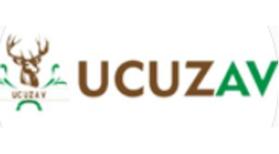 Ucuzav Logo