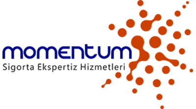 Momentum Ekspertiz
