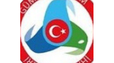 Gumrukiletisim (instagram) Logo