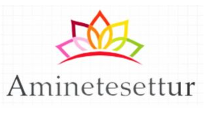 Amine Tesettür (Instagram) Logo