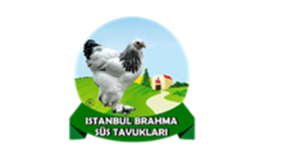 Brahma Süs Tavukları Logo
