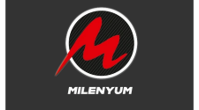 PSE Milenyum İnsan Kaynakları Logo