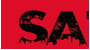 Satem Store Logo