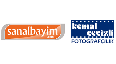 sanalbayim.com Logo