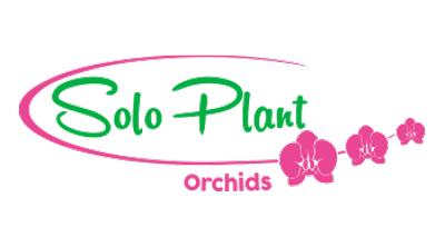 Solo Plant Logo