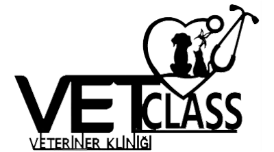 Vetclass Veteriner