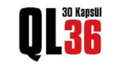Ql36.net Logo