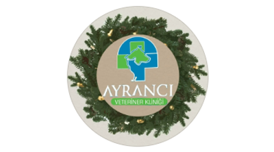 Ayrancı Veteriner Kliniği | Ankara