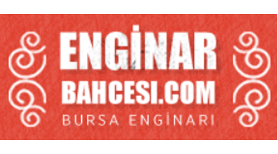 Enginarbahcesi.com