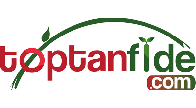 Toptanfide.com Logo