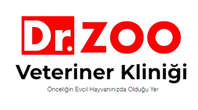Dr. Zoo Veteriner Kliniği