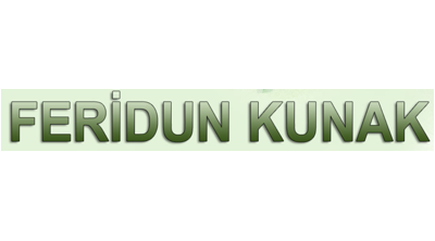 Feridunkunakdetoks.com Logo