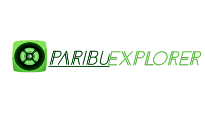Paribuexplorer.com Logo