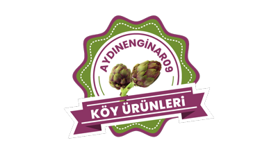 aydinenginar.com Logo