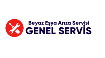 Ege Bölge Servis (0850 441 86 55)