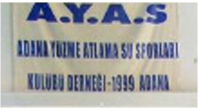 Ayas Yüzme Kulübü | Adana Logo