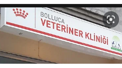 Bolluca Veteriner Kliniği