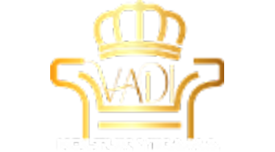 Vadi Koltuk Yıkama Logo