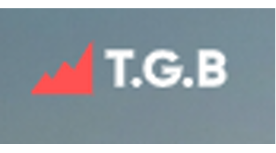 Tgb FX Logo