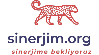 Sinerjim.org