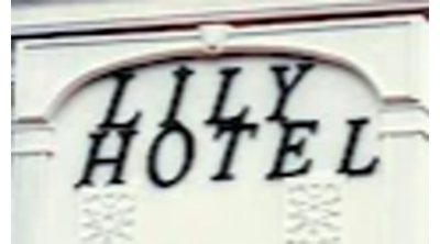 Lily Hotel Logo