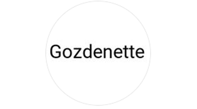 Gozdenettestore (Instagram) Logo