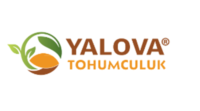 Yalova Tohumculuk Logo