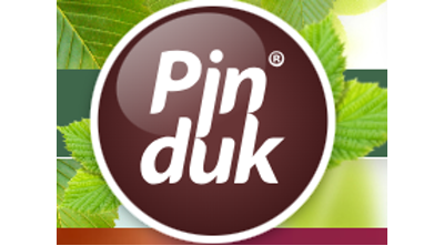 Pinduk Shop Logo
