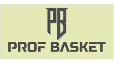 Prof Basket Logo