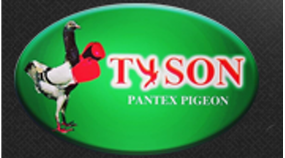 Pantex Pigeon Tyson Logo