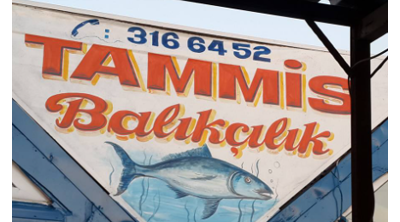 Tammis Balıkçılık Logo